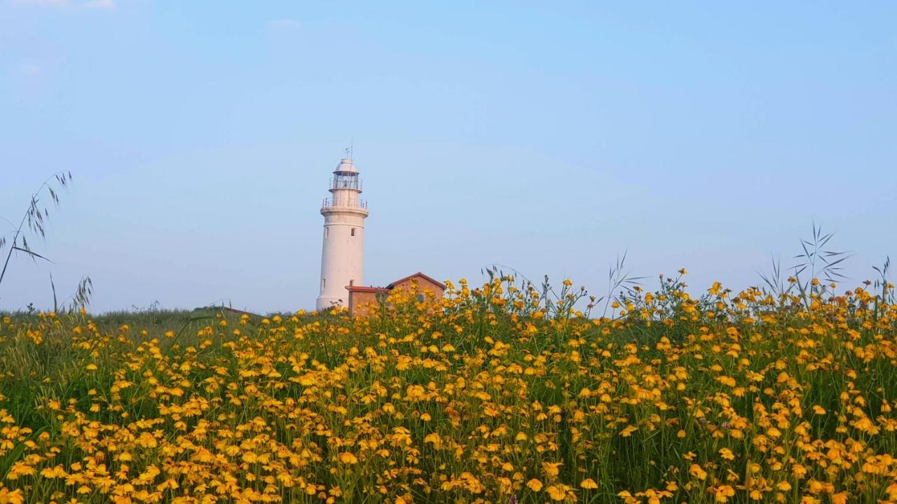 Dahan Sirena Lighthouse Luxury Apartment Paphos Eksteriør bilde