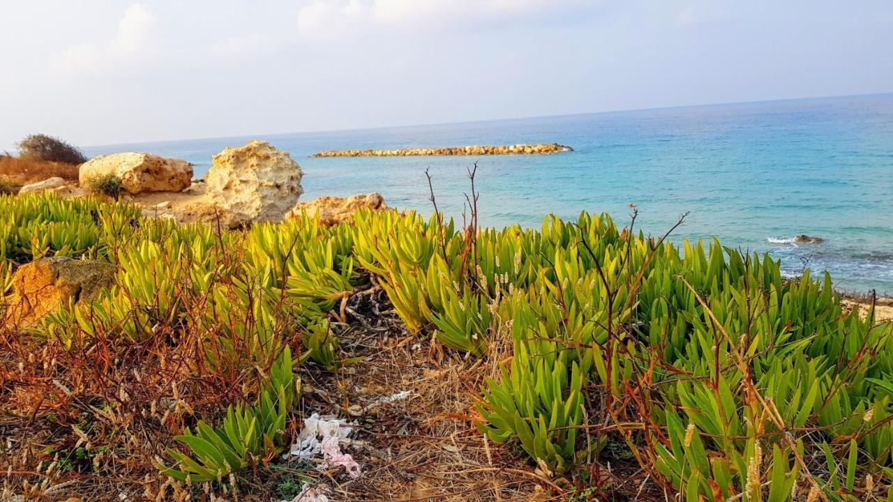 Dahan Sirena Lighthouse Luxury Apartment Paphos Eksteriør bilde